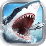 苹果手机如何登陆外网_苹果手机如何登两个微信号